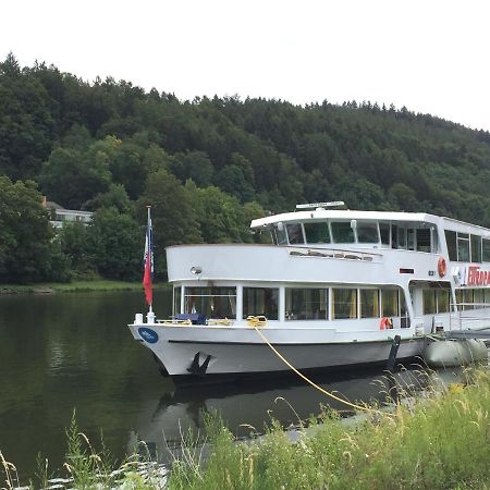 Natur Und Neckarblick Bei Heidelberg Hirschhorn Extérieur photo