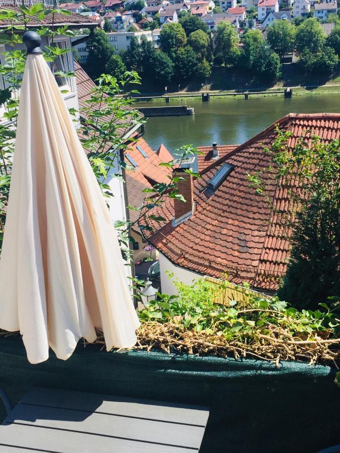 Natur Und Neckarblick Bei Heidelberg Hirschhorn Extérieur photo