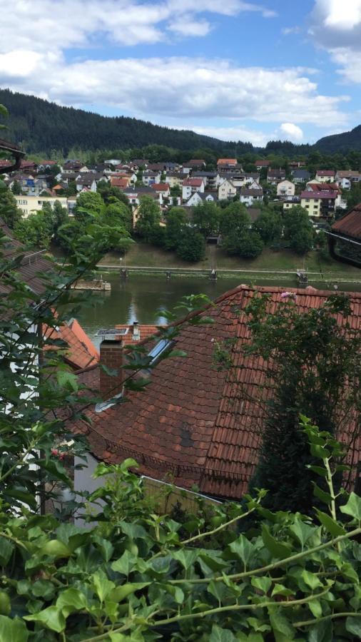 Natur Und Neckarblick Bei Heidelberg Hirschhorn Extérieur photo