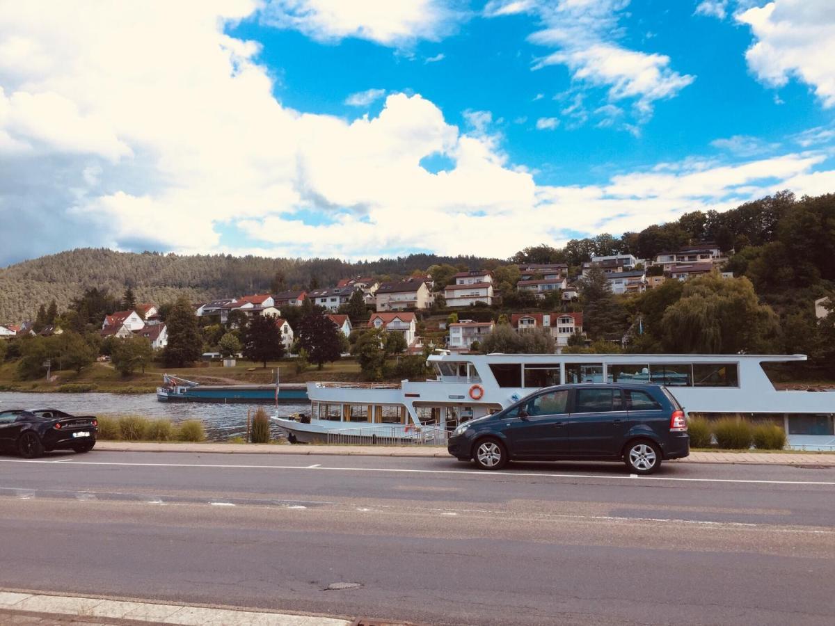 Natur Und Neckarblick Bei Heidelberg Hirschhorn Extérieur photo