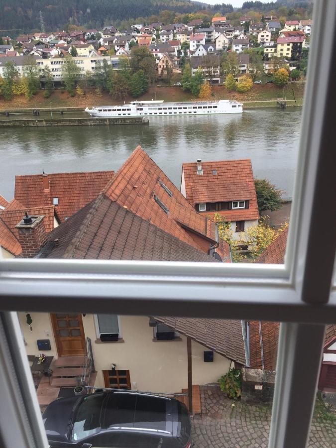 Natur Und Neckarblick Bei Heidelberg Hirschhorn Extérieur photo