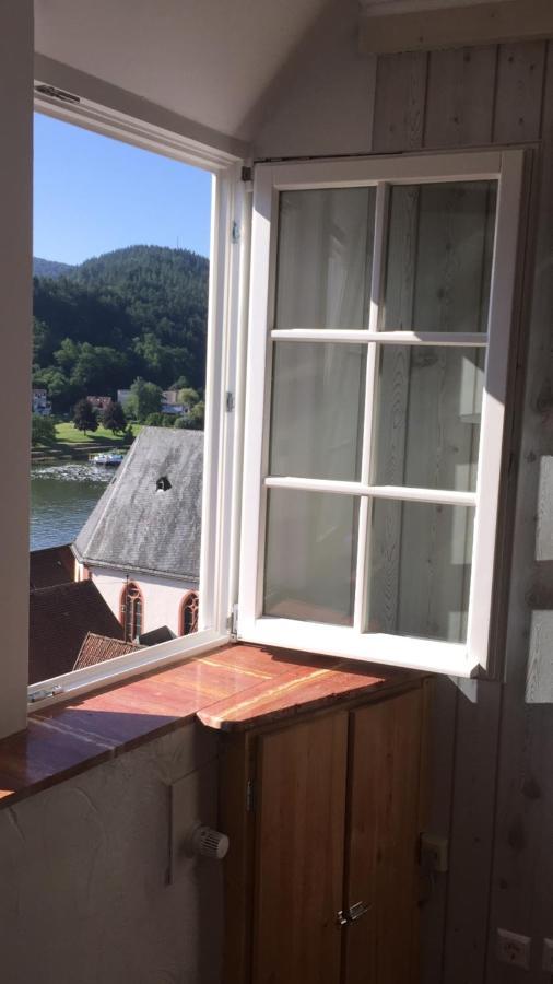 Natur Und Neckarblick Bei Heidelberg Hirschhorn Extérieur photo