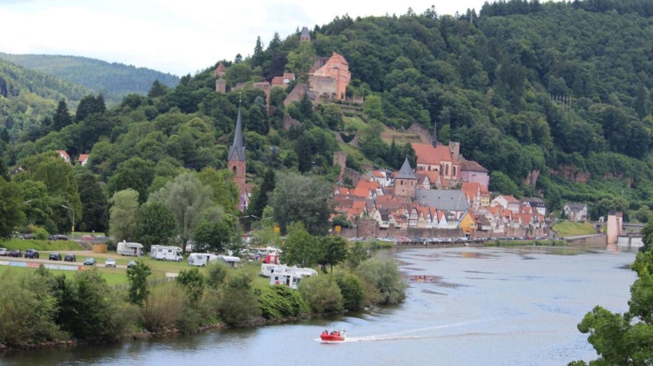 Natur Und Neckarblick Bei Heidelberg Hirschhorn Extérieur photo