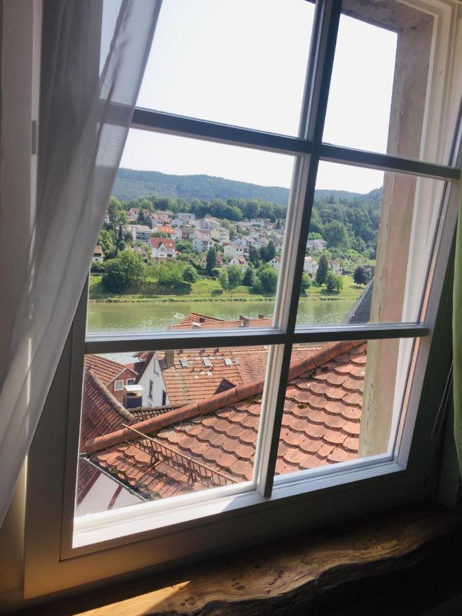 Natur Und Neckarblick Bei Heidelberg Hirschhorn Extérieur photo