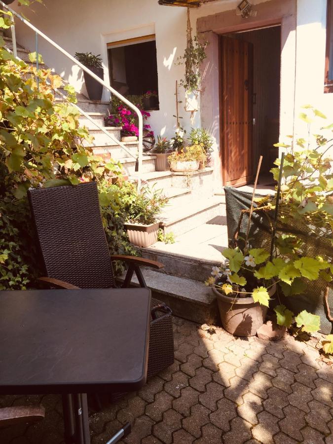 Natur Und Neckarblick Bei Heidelberg Hirschhorn Extérieur photo