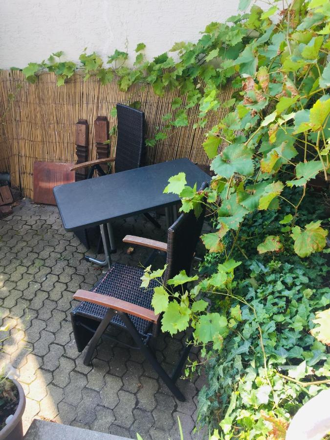 Natur Und Neckarblick Bei Heidelberg Hirschhorn Extérieur photo