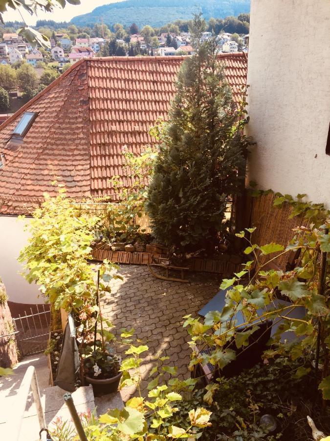 Natur Und Neckarblick Bei Heidelberg Hirschhorn Extérieur photo