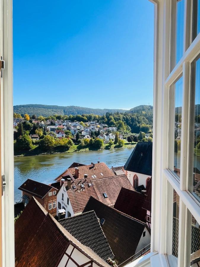 Natur Und Neckarblick Bei Heidelberg Hirschhorn Extérieur photo