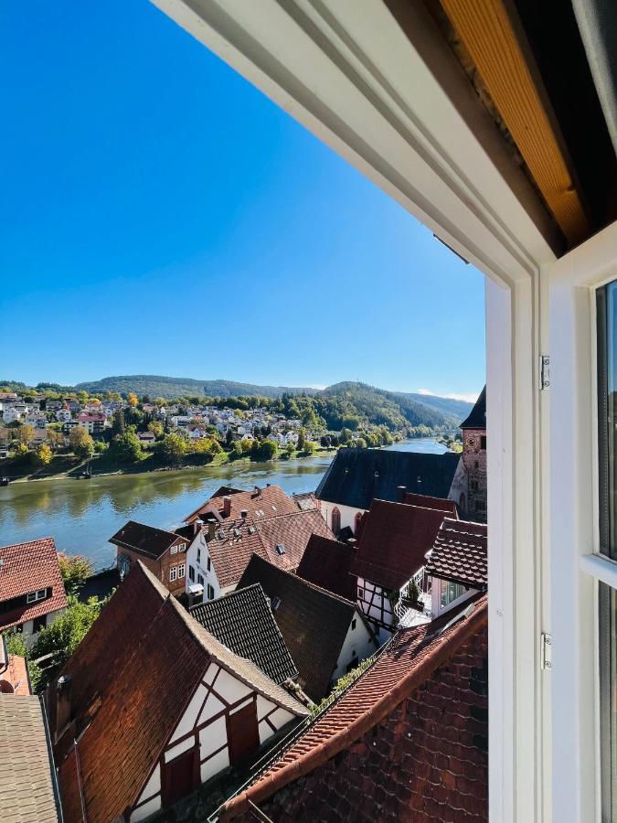 Natur Und Neckarblick Bei Heidelberg Hirschhorn Extérieur photo