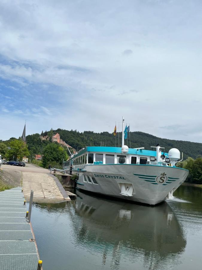 Natur Und Neckarblick Bei Heidelberg Hirschhorn Extérieur photo