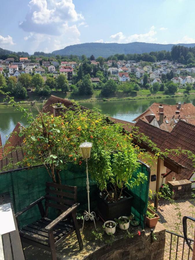 Natur Und Neckarblick Bei Heidelberg Hirschhorn Extérieur photo