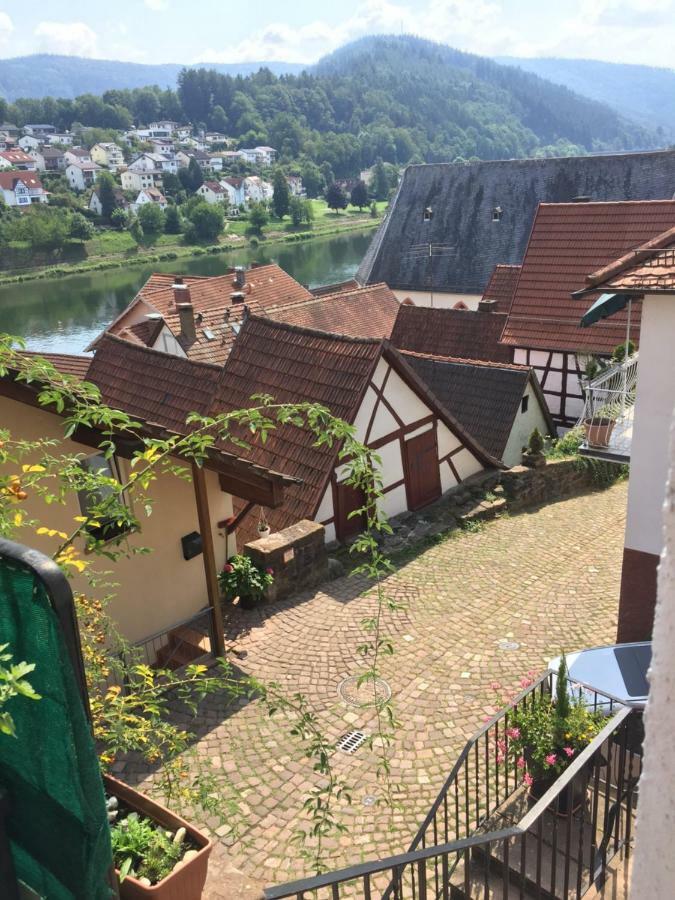 Natur Und Neckarblick Bei Heidelberg Hirschhorn Extérieur photo